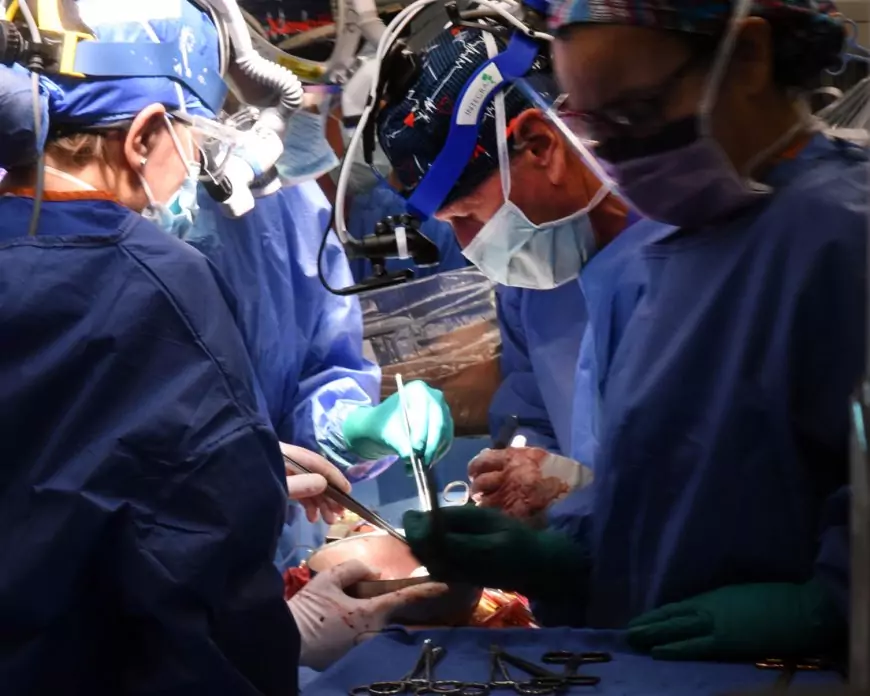Muere el segundo paciente en recibir un trasplante de corazón de cerdo