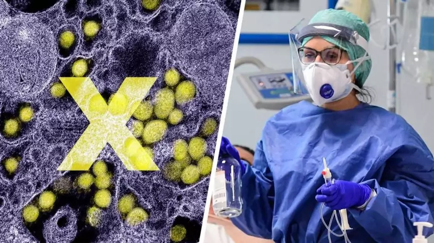 La OMS advierte de una 'enfermedad X' que podría ser 20 veces más mortífera que el coronavirus